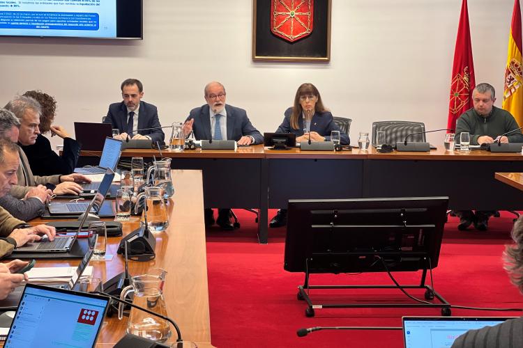 Ignacio Cabeza, en la comparecencia de esta mañana en el Parlamento.