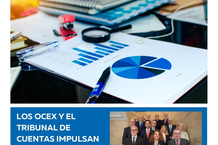 Asocex-en boletina