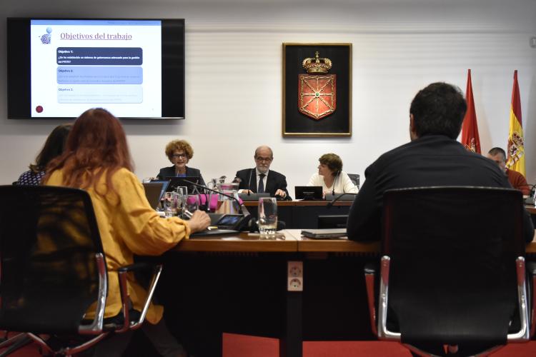 El presidente de la Cámara de Comptos en la comparecencia de esta mañana.