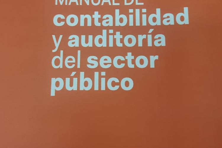 Manual de auditoría