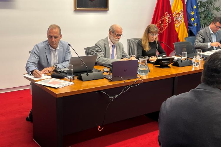 Imagen de la comparecencia de este mediodía.